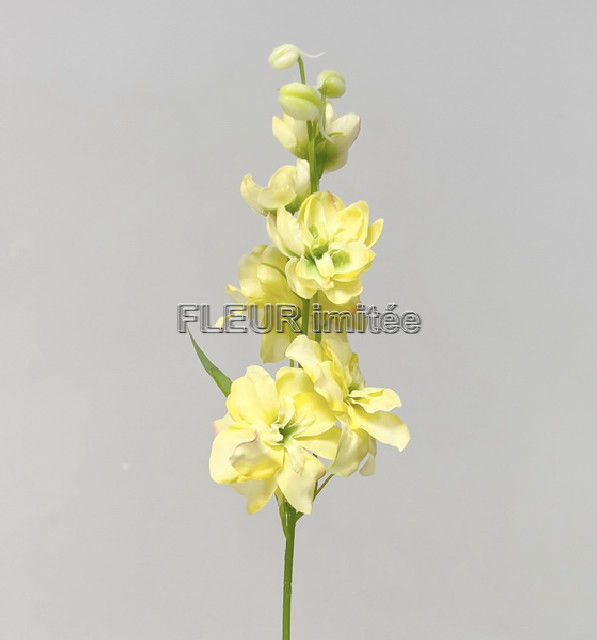 Delphinium záp.23cm S476 12/120