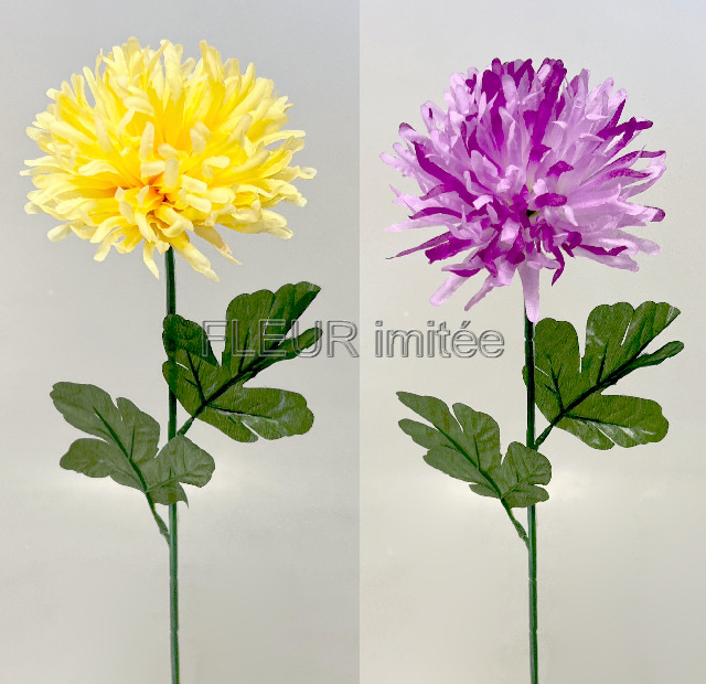 Chryzantéma 60/8cm W723 12/480