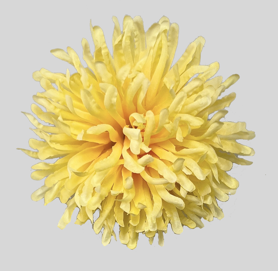 Květ chryzantéma 8cm 12/480