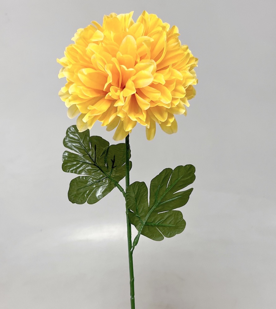 Chryzantéma 60/12cm   12/144