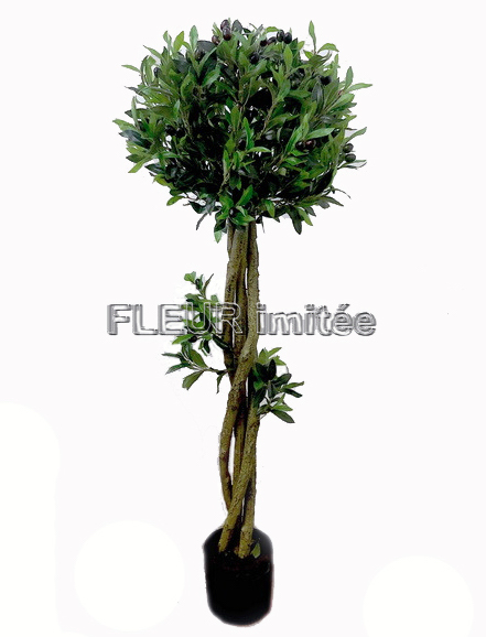 Oliva strom 150cm latex list