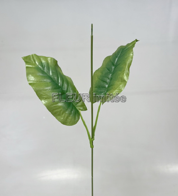 Stonek kala 52cm 2listy 12/144