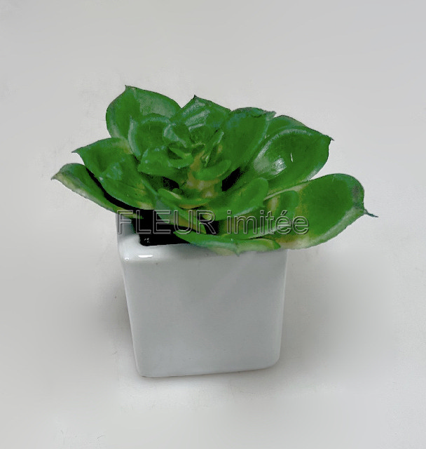 Sukulent mini 10cm vč.květníku