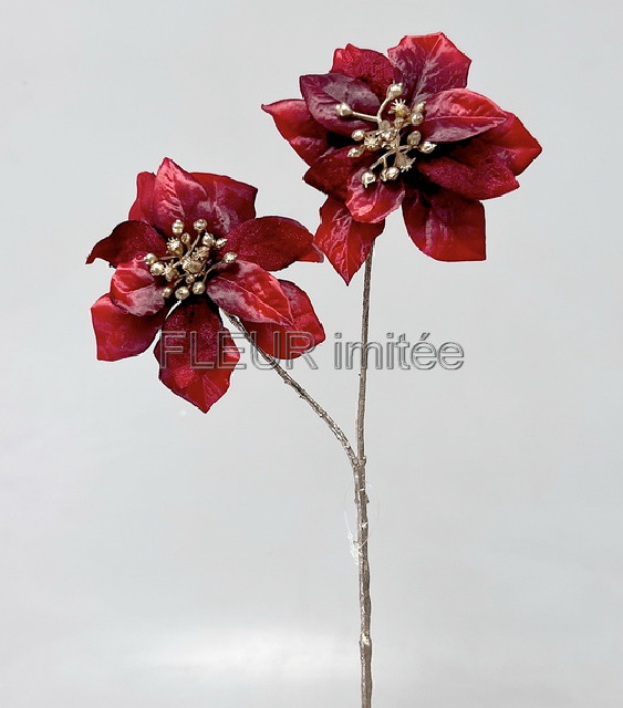 Poinsettia x2 42cm 24/480