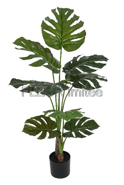 Monstera 96cm latex  1/4