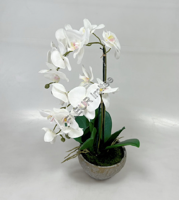 Orchidea x2 latex v květ. 47cm 1/12