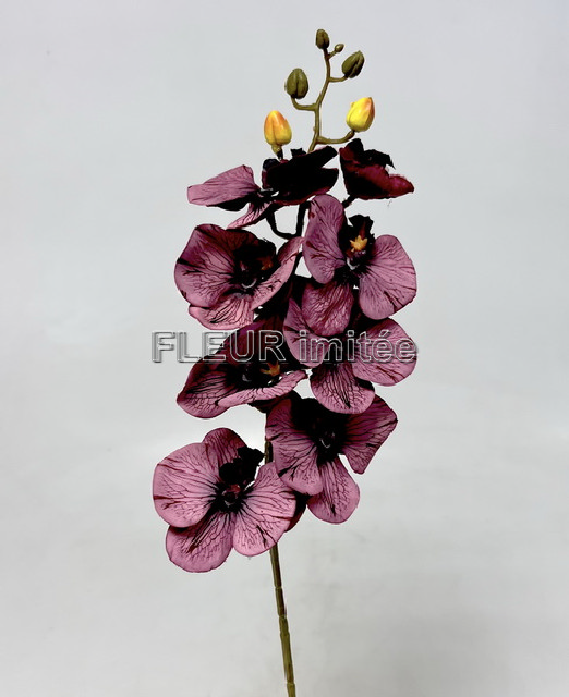 Orchidea  77cm   18264