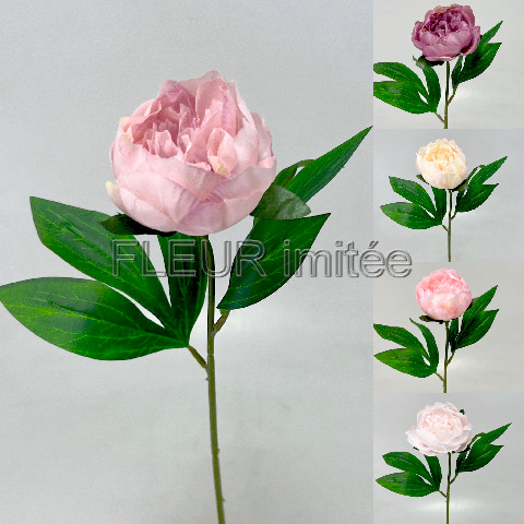 Pivoňka x 1 45cm 12/144