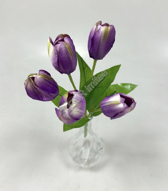 Tulipán x5 31cm list latex 48/288