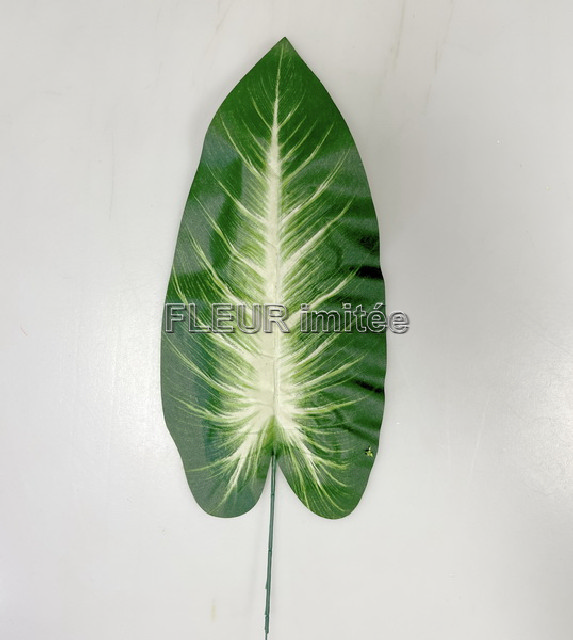 List dieffen. 60cm 12/1152