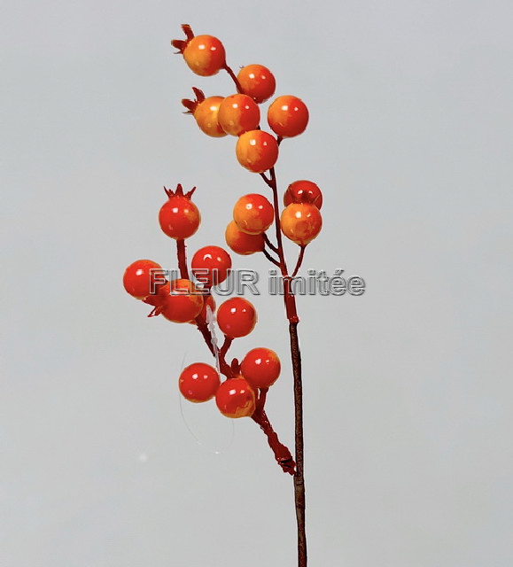 Bobulky záp. 28cm 12/96