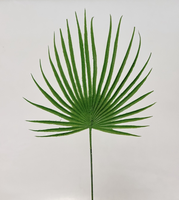 List palma 48cm 24/432