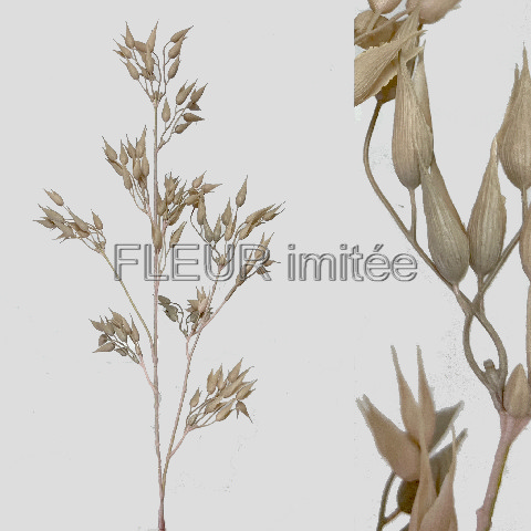 Oves 88cm 12/144