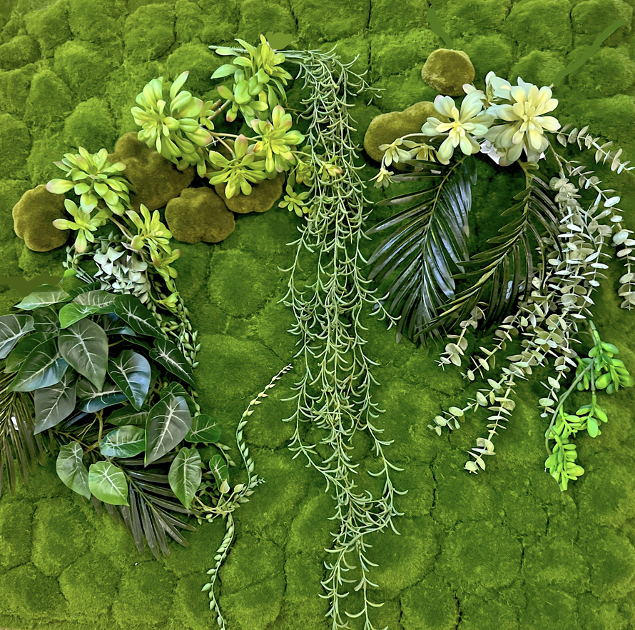 Mech 100x1020 se sukulenty