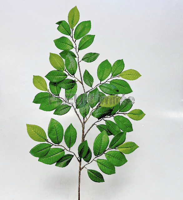 Větev fikus x50 63cm 6/480