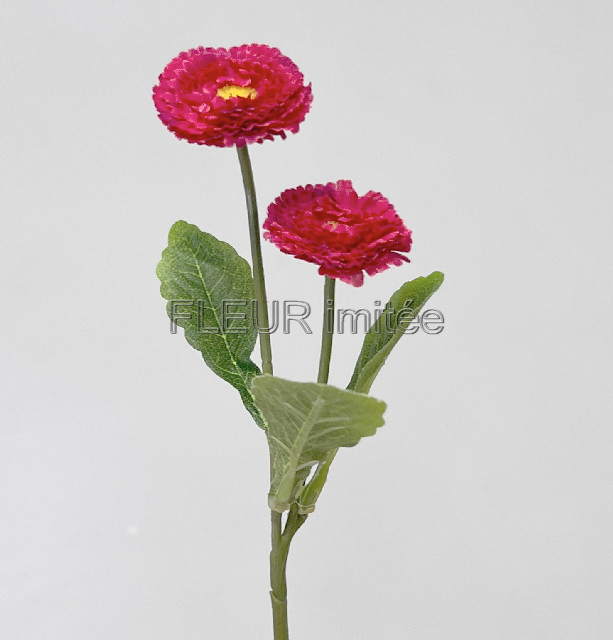 Sedmikráska x2 22cm 120/1200