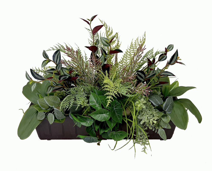 Truhlík fuchsie  60x35cm