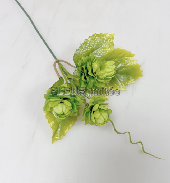 Chmel záp. 26cm  72/864