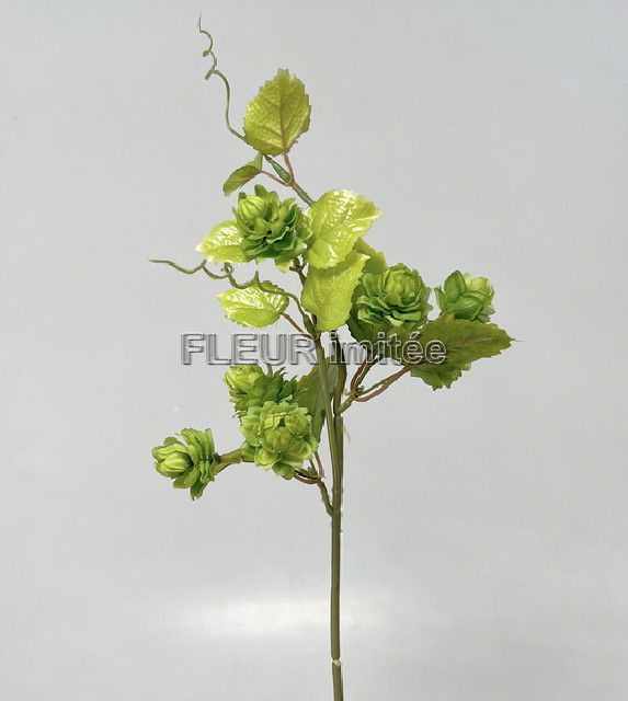 Chmel větev 60cm  24/240