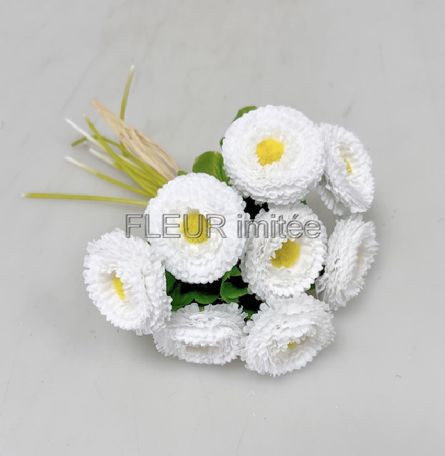 Sedmikráska x9  20cm 24/288