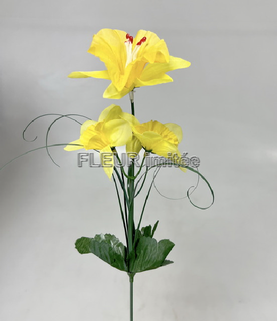 Narcis 3kv. 41cm 72/864