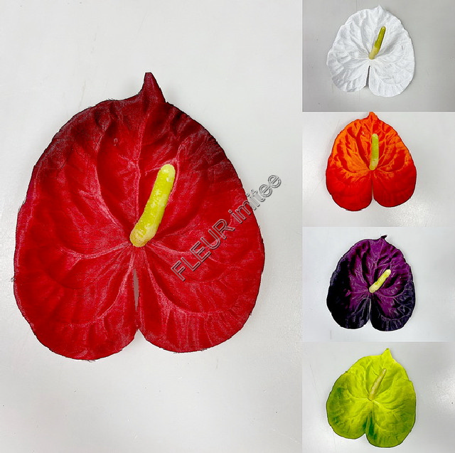 Květ anturie 13cm  24/240