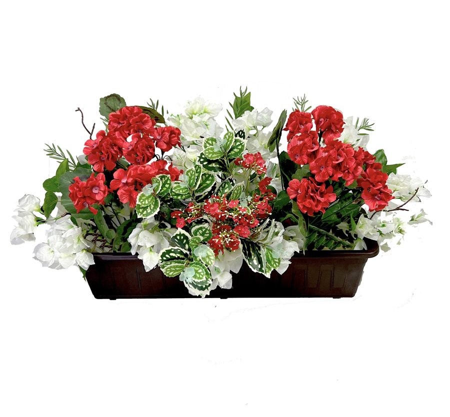 Truhlík muškát 60x30cm