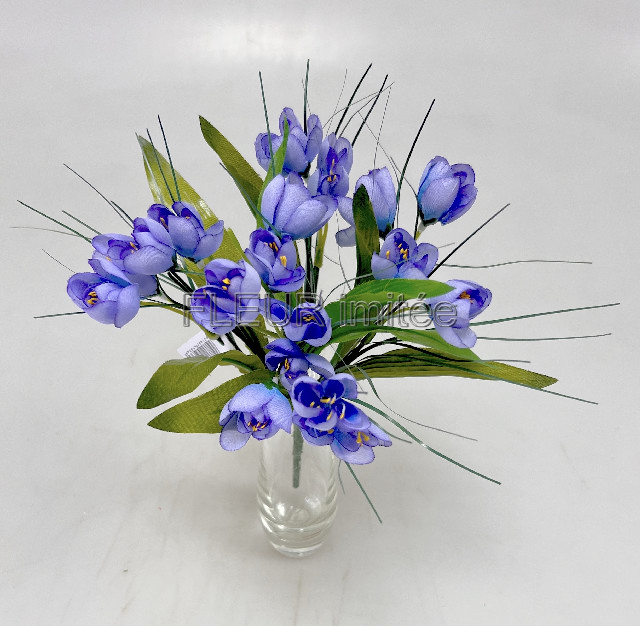 Crocus x7 27cm  36/360