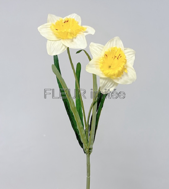 Narcis x2 41cm  48/480