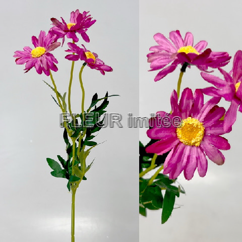 Kopretina x3 50cm 12/72