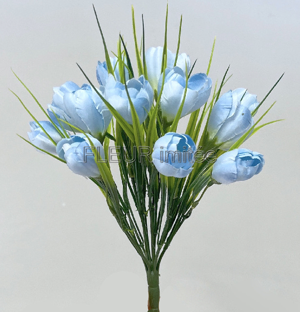 Crocus x12 26cm 24/240