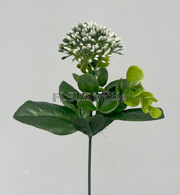 Česnek s eukalypt. 35cm  12/960