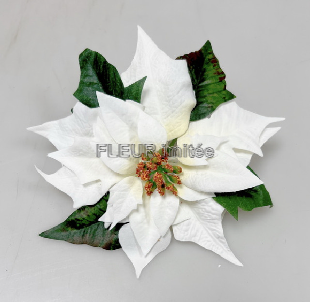Květ poinsettia 21cm 12/288