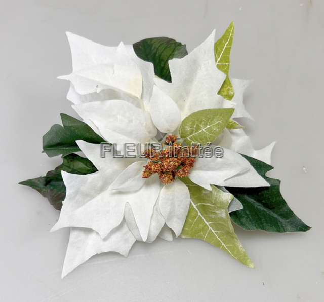 Květ poinsettia 21cm 12/288