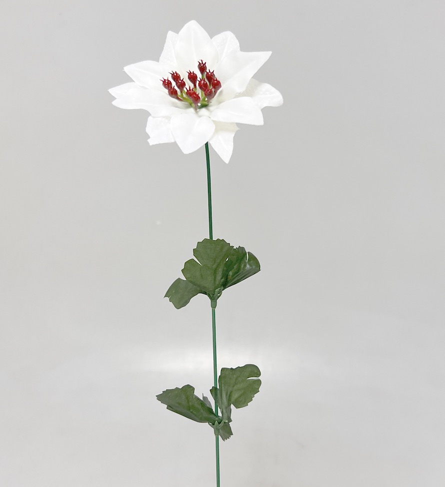 Poinsettia velvet 50/10cm 12/144