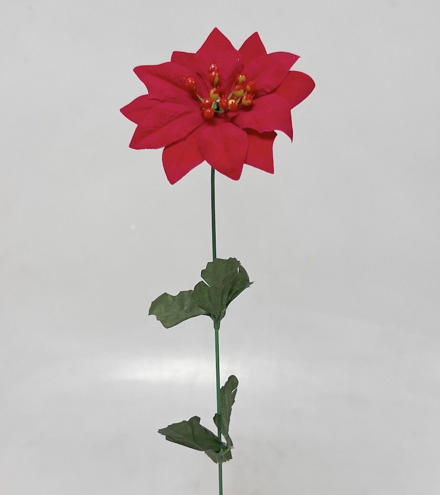 Poinsettia velvet 50/10cm 12/144