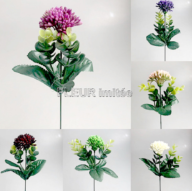 Česnek záp. 38cm 1/48