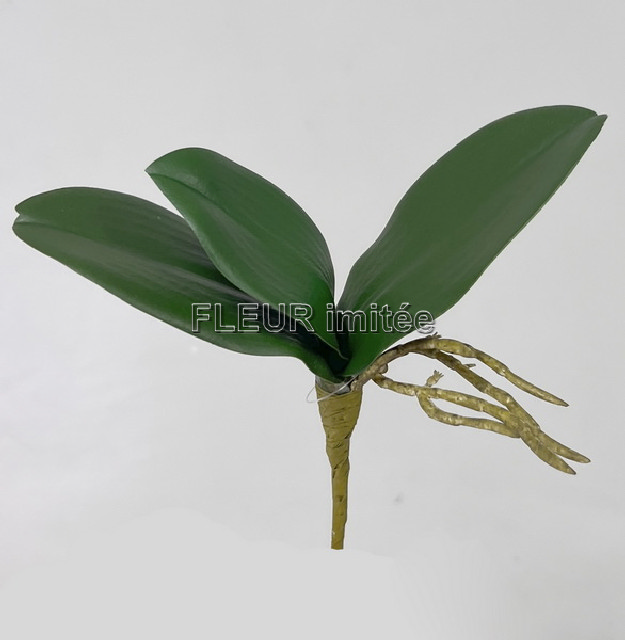 Listy orchidea x3  23cm 48/432