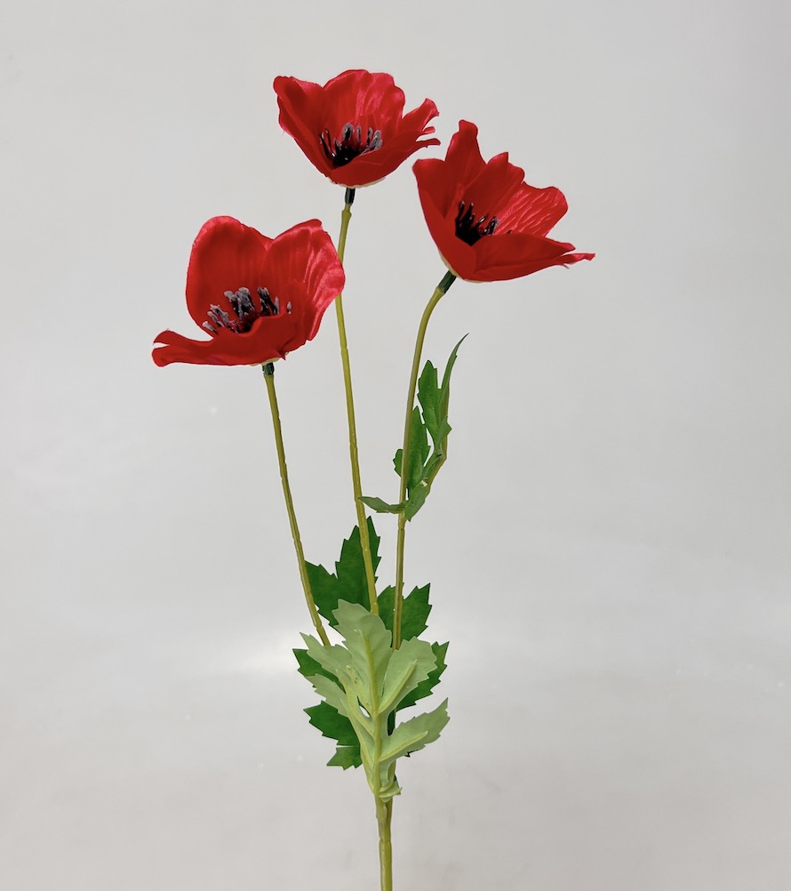 Mák x3  45cm