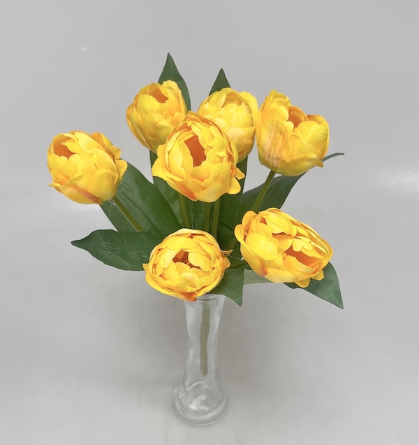 Tulipán x7  43cm 24/144