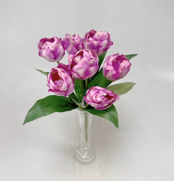 Tulipán x7  43cm 24/144