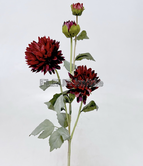 Chryzantéma x4  73cm  24/288