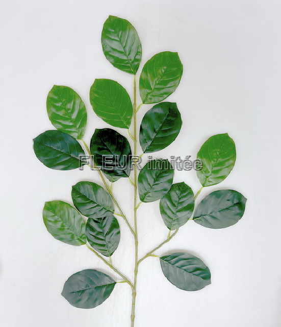 Větev olše 60cm 12/240