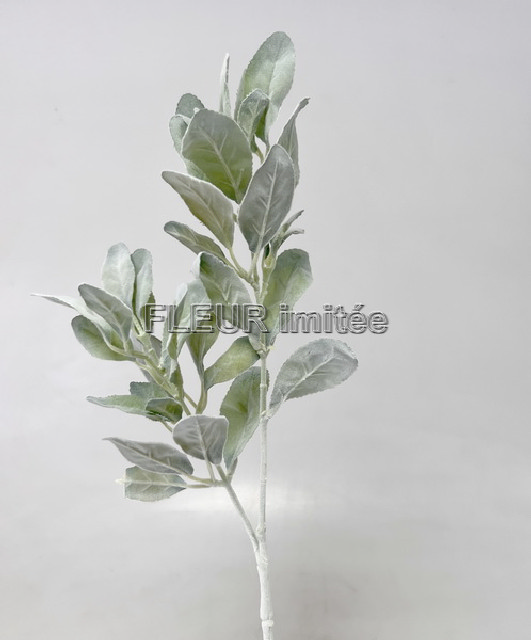 Starček x2 60cm 24/192