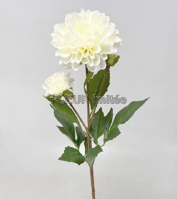 Jiřina x3 62cm 12/96