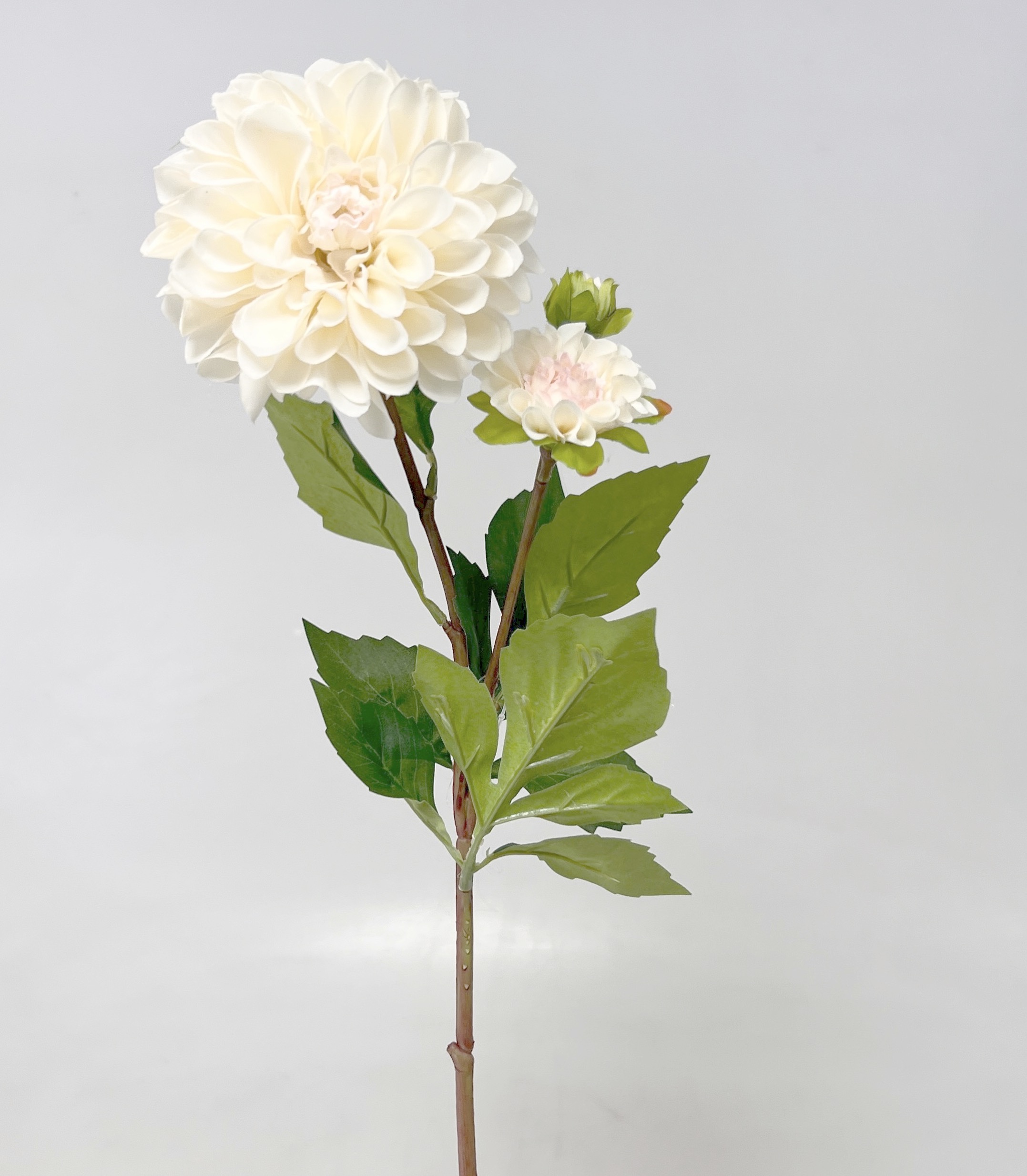 Jiřina x3 62cm 12/96