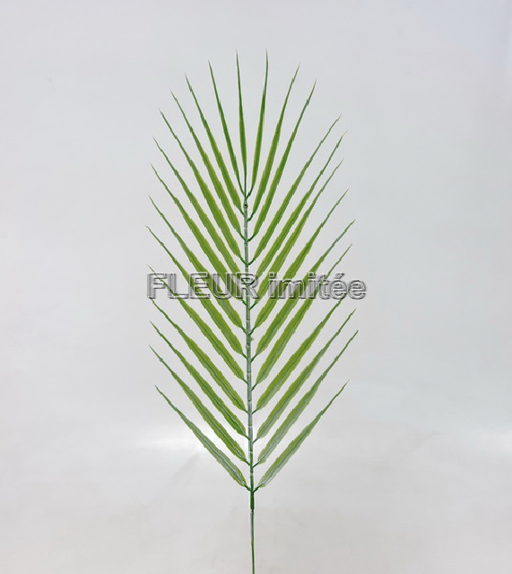 List palma Chico 57cm 24/960