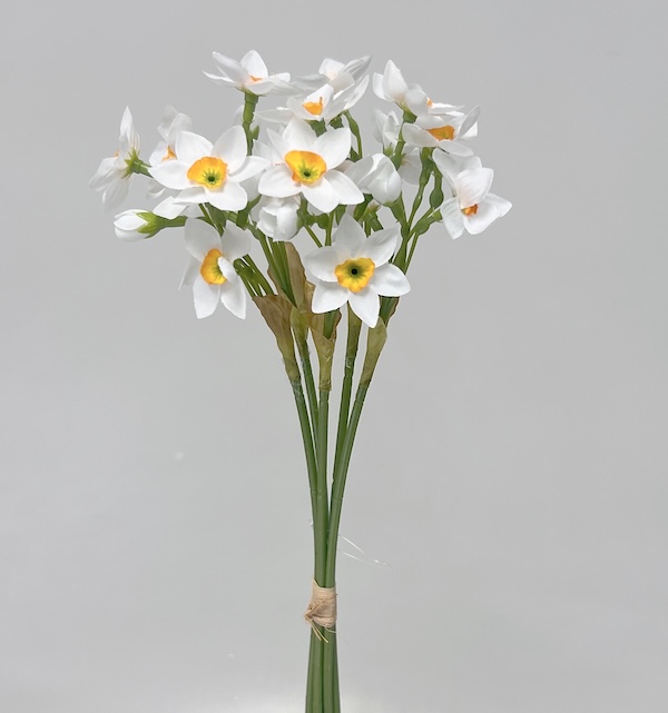 Narcis mini x5 34cm