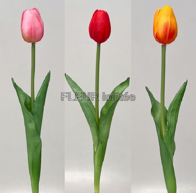 Tulipán x1 latex 42cm 12/96