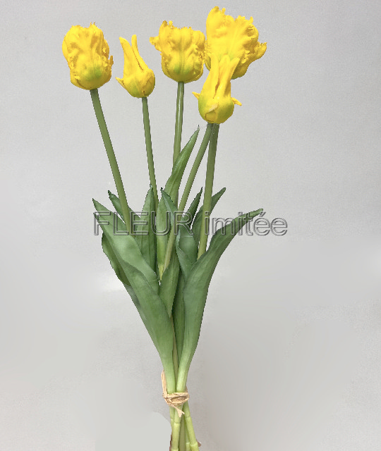 Tulipán x5 latex 47cm  12/72